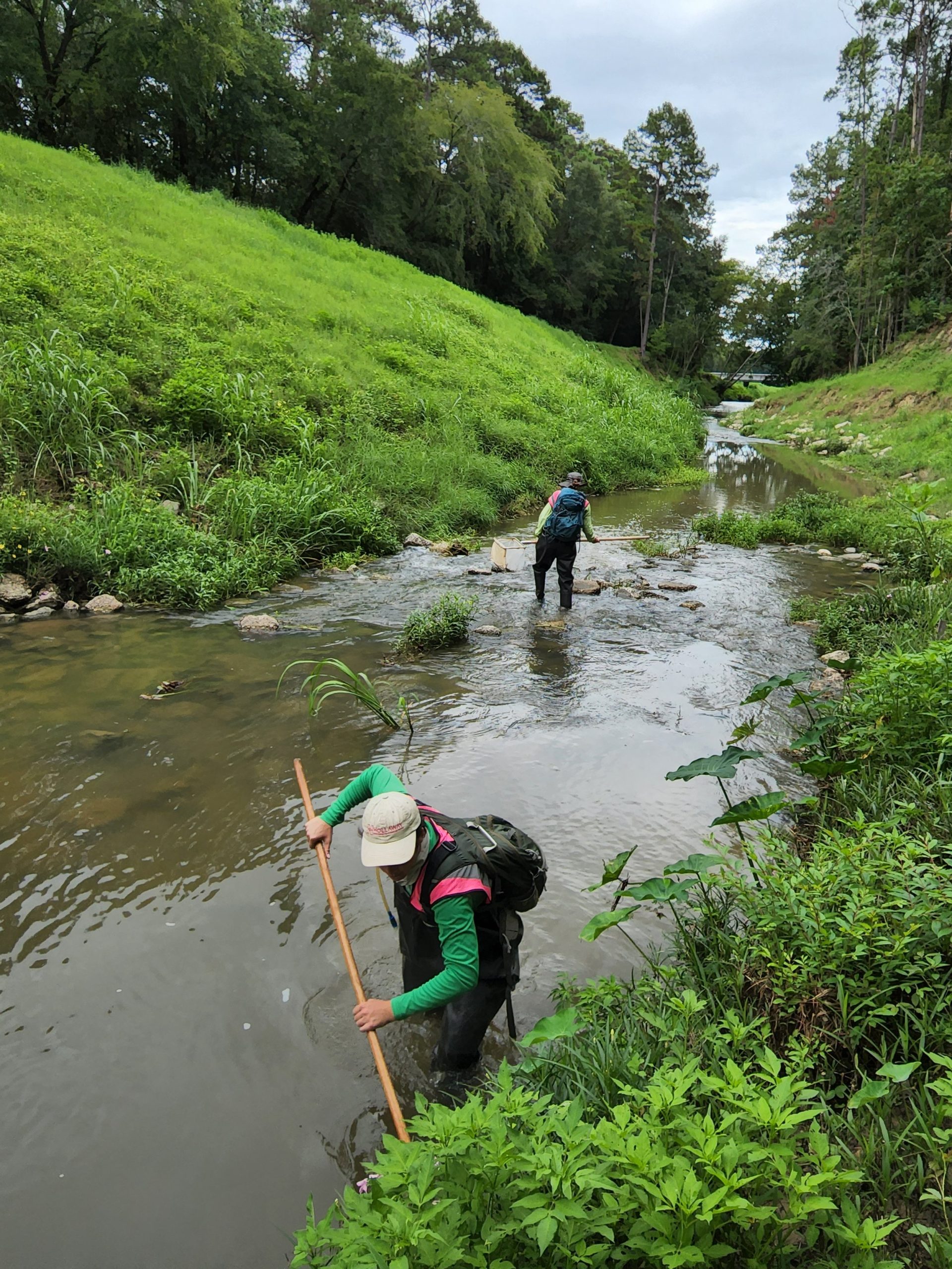 Environmental Services