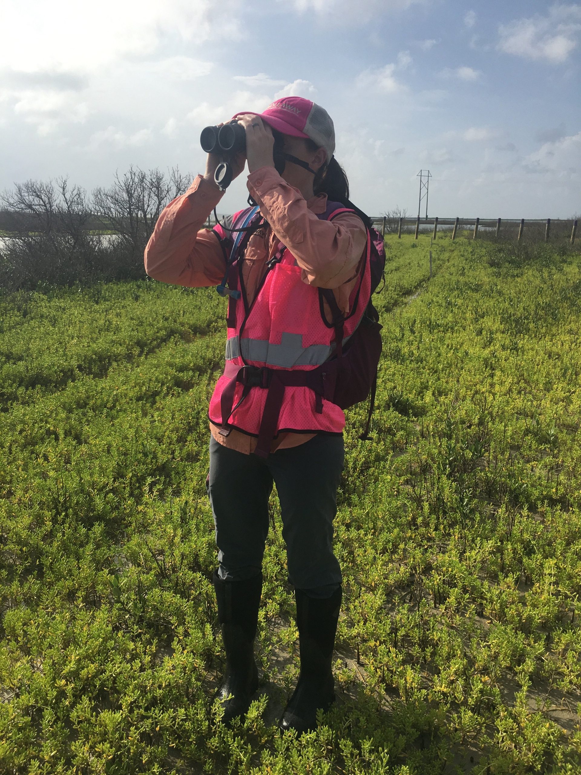 NEPA compliant services