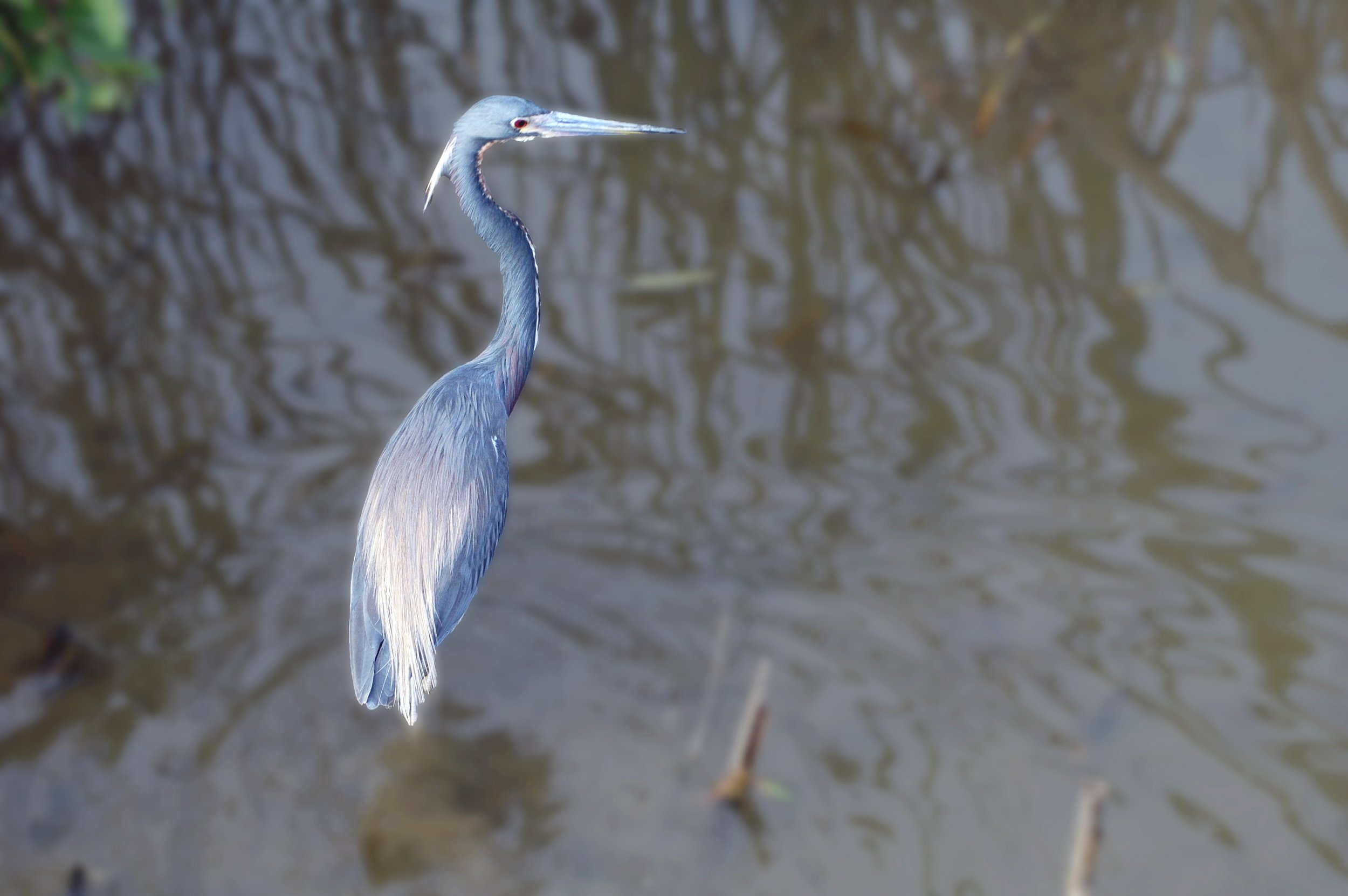 Environmental Services