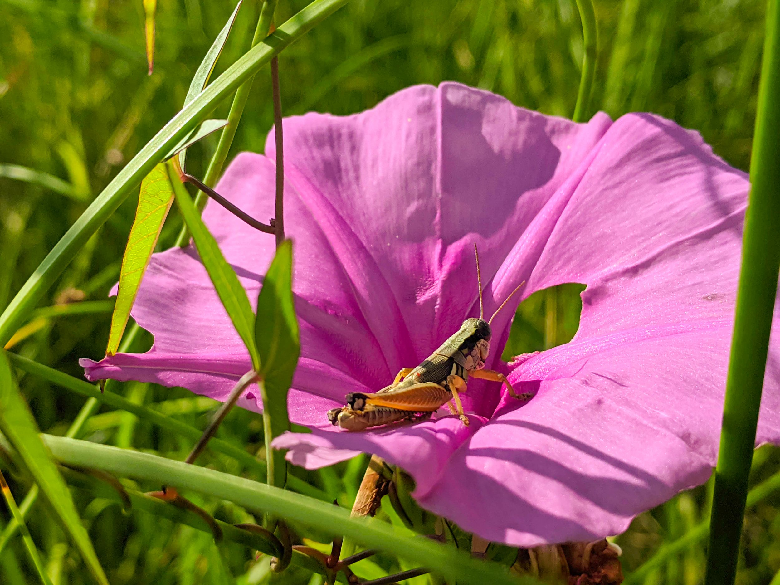 Environmental Services