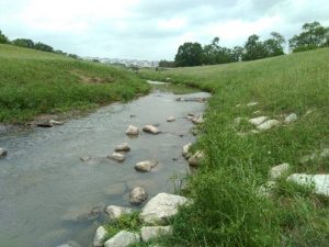 Environmental Services