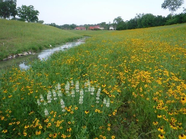 Halls Bayou Watershed Program