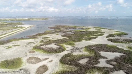 Mustang Island Hollaway Environmental + Communications Services, Inc. Mustang Island Hollaway Environmental + Communications Services, Inc.