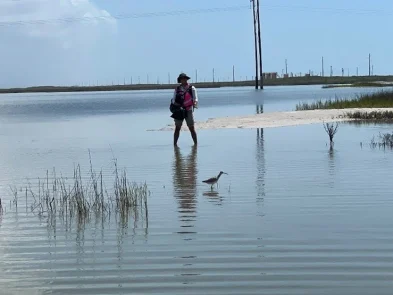 Mustang Island Hollaway Environmental + Communications Services, Inc. Mustang Island Hollaway Environmental + Communications Services, Inc.