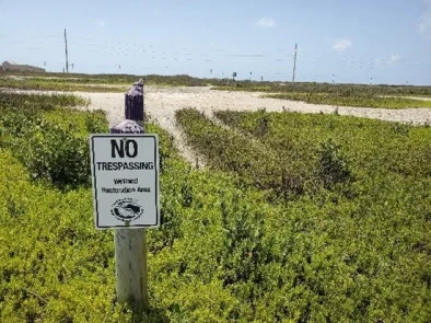 Mustang Island Hollaway Environmental + Communications Services, Inc. Mustang Island Hollaway Environmental + Communications Services, Inc.