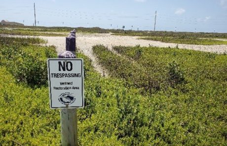 Mustang Island Hollaway Environmental + Communications Services, Inc.