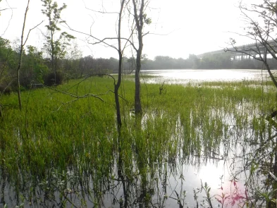 SH 99 Cedar Bayou