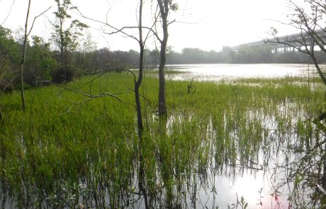 SH 99 Cedar Bayou