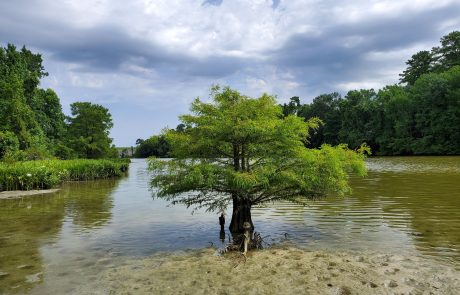 San Jacinto River