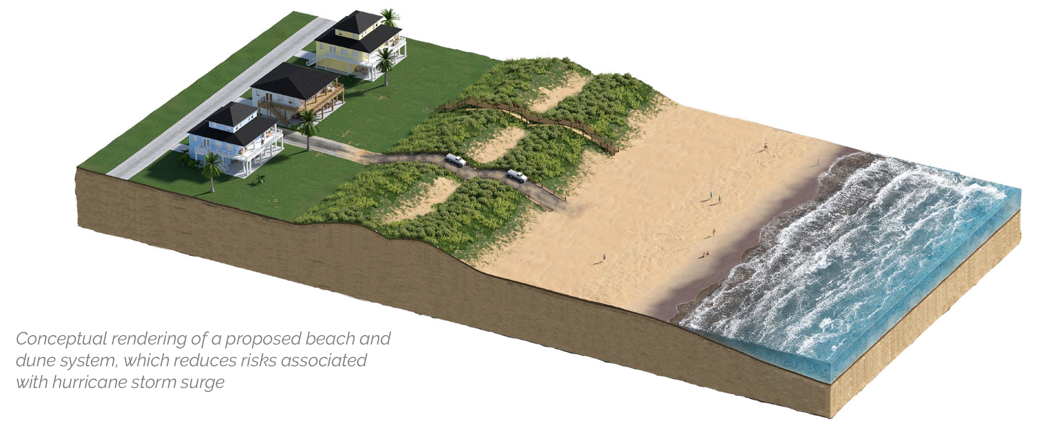 beach and dune system