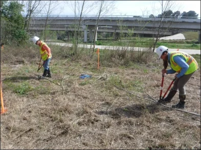Staff Action Hollaway Environmental + Communication Services