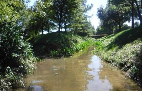 Halls Bayou Watershed