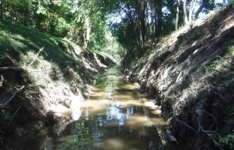 Halls Bayou Watershed