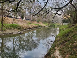 Halls Bayou Watershed