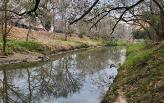 Halls Bayou Watershed