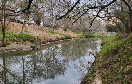 Halls Bayou Watershed