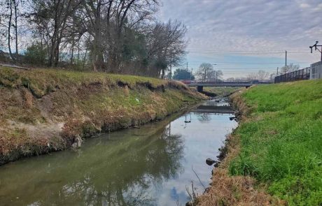 Halls Bayou Watershed