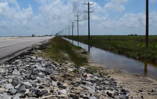 txdot hwy87 Environmental communications