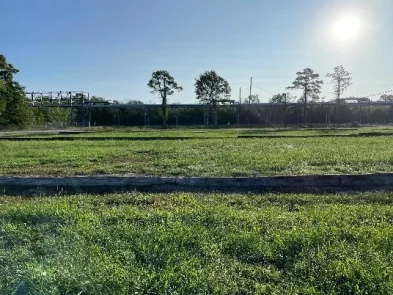 Baytown Carbon Capture 1